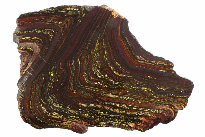 Polished Tiger Iron Stromatolite Slab - Billion Years #354942